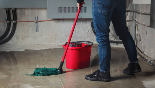 Best Water damage contractors near me  in , NE