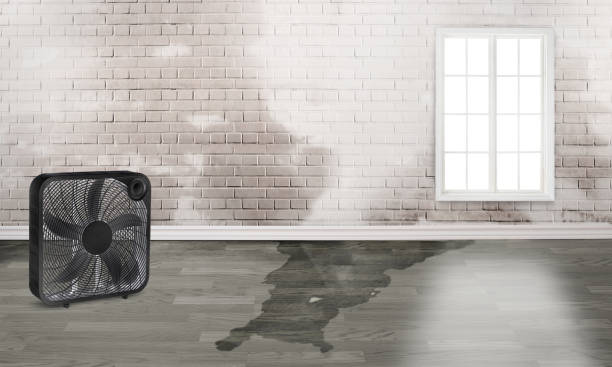 Best Emergency water damage restoration  in , NE