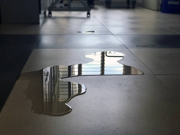 Best Water damage restoration near me  in , NE
