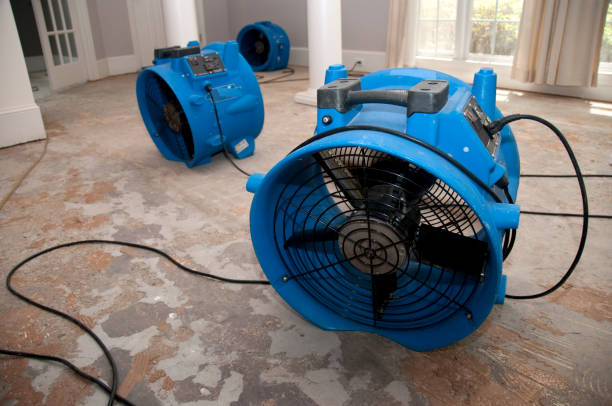 Best Water damage cleanup near me  in , NE