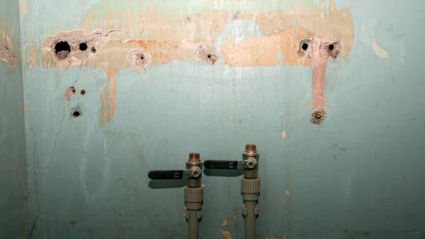 Best Residential water damage restoration  in , NE