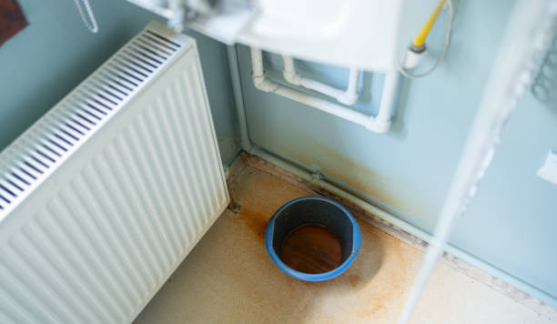 Best Local water damage restoration  in , NE