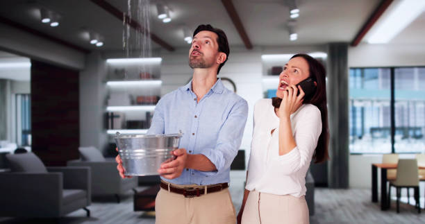 Best Flood restoration services  in , NE