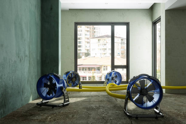 Best Basement water damage restoration  in , NE