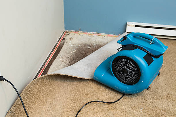 Best Ceiling water damage repair  in , NE